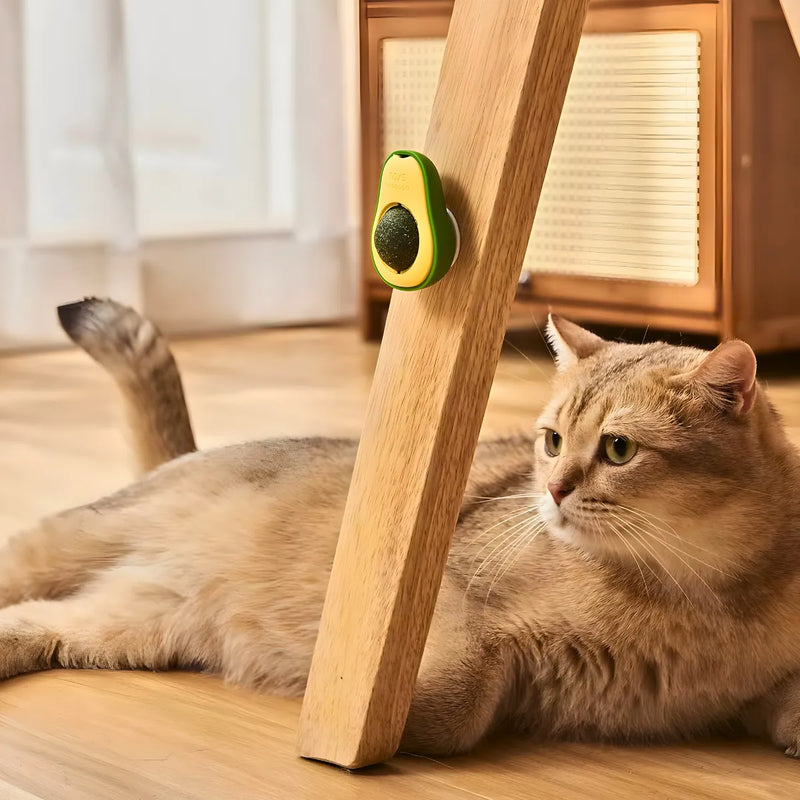 Abacate com Catnip | Para Gatos