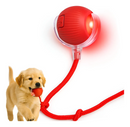 Bola Giratória Inteligente para Pet Recarregável USB
