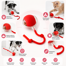 Bola Giratória Inteligente para Pet Recarregável USB