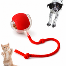 Bola Giratória Inteligente para Pet Recarregável USB