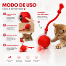 Bola Giratória Inteligente para Pet Recarregável USB